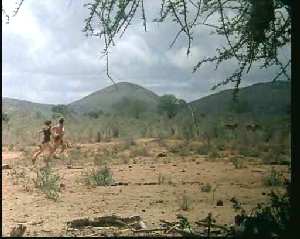TARZAN