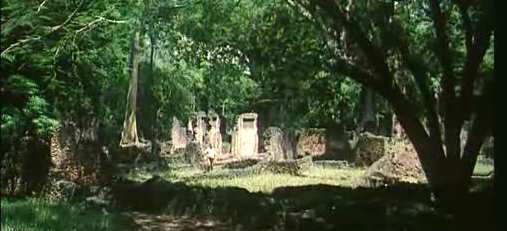TARZAN